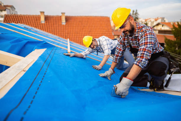 Professional Roofing Contractor in Biltmore, TN